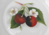 Vintage Adderely Cherry Ripe Trinket Nut Bowl