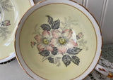 Vintage Paragon Wild Pink Rose Dogwood Yellow Teacup Double Warranted