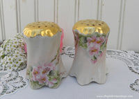 Vintage Hand Painted Salt and Pepper Shakers Pink Wild Roses Germany