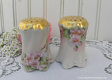 Vintage Hand Painted Salt and Peppershakers Pink Wild Roses Germany